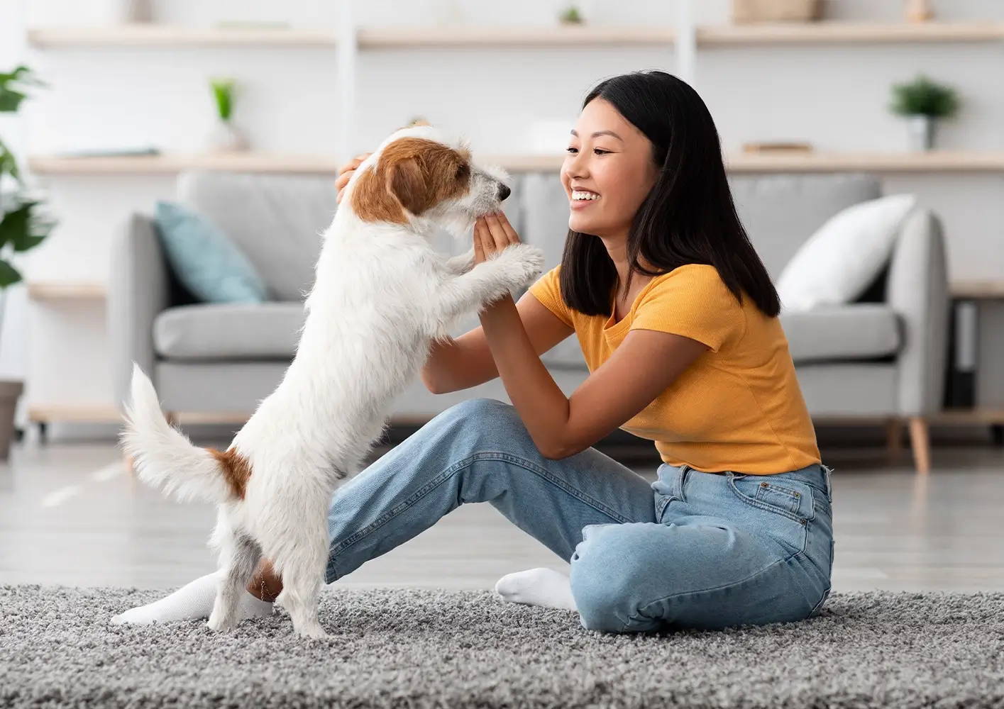 The best ways to introduce an adopted dog to your home